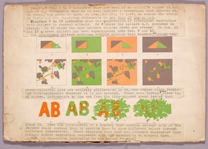 Diagram and Copperhead Snake, study folder for book Concealing Coloration in the Animal Kingdom