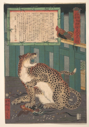 Never Seen Before: True Picture of a Live Wild Tiger (Konjaku miken, Ikimono mōko no shinzu)