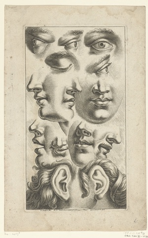 Details van gezichten; Academische studies