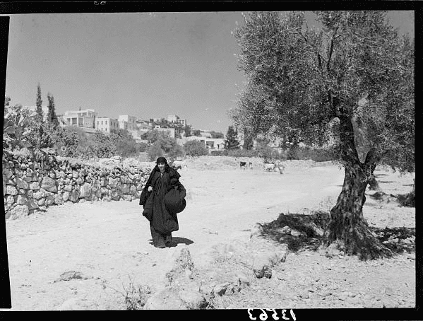 A woman carrying wheat inside her cloth sack walks on a dusty path flanked by a stone wall to her ri