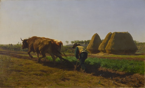 Ploughing Scene, 1854, Rosa Bonheur, French