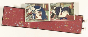 Shunga album. Vergelijking van jeugdige vrouwen in het huidige jaar