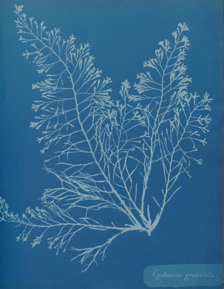 Screen Shot 2026-01-29 at 1.46.38 PM.jpg