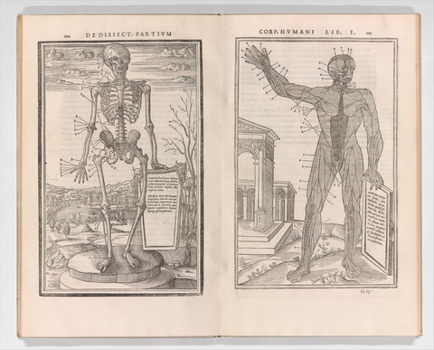 De dissectione partium corporis humani libri tres