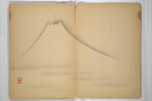 Untitled Album of Seventeen Sketches of Birds, Fowers and Landscapes